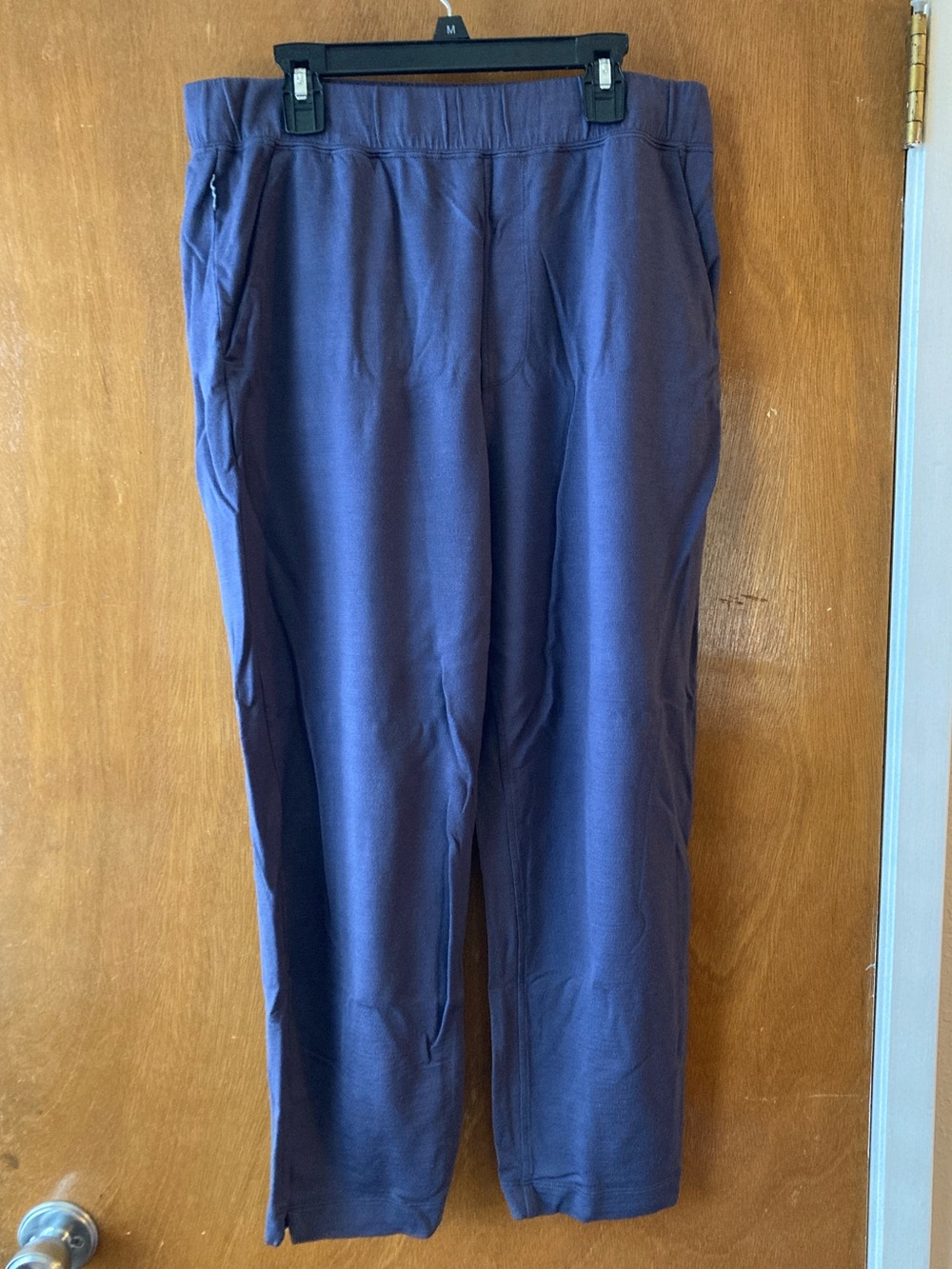 Icebreaker Women's Purple-Gray Merino Crush Ankle Pants